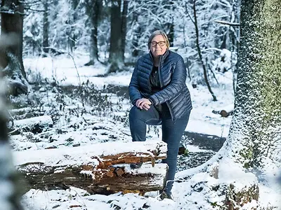 Forestry Articles John Deere Ie