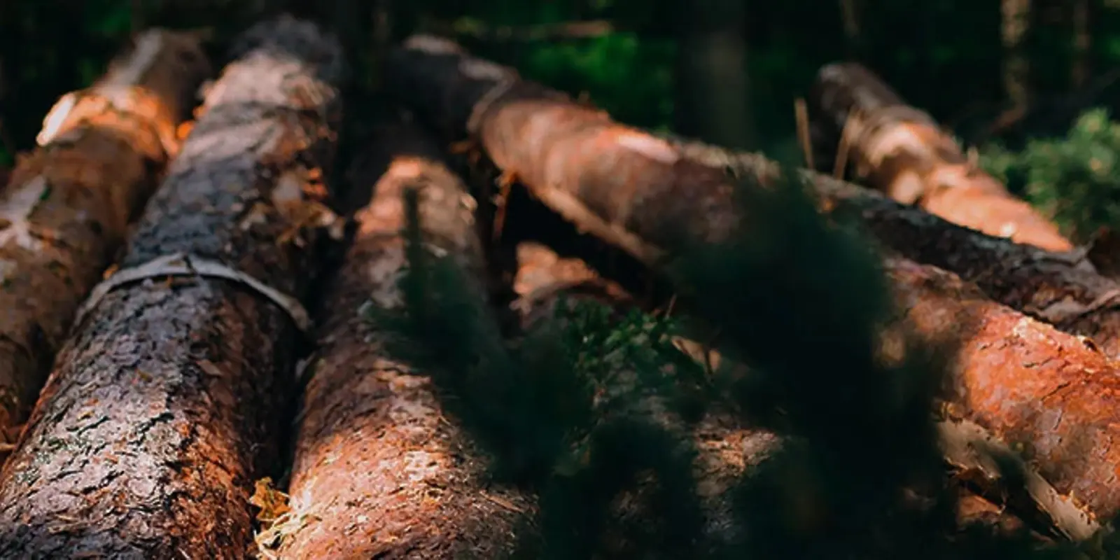 Forestry Articles John Deere Ie